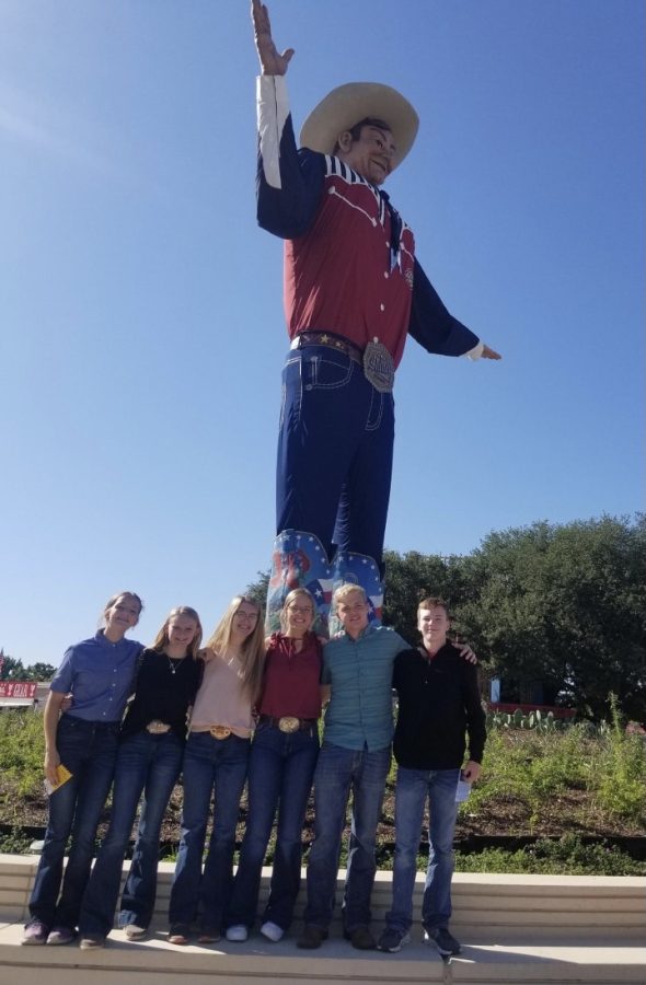 SE Ag Students Compete at the State Fair