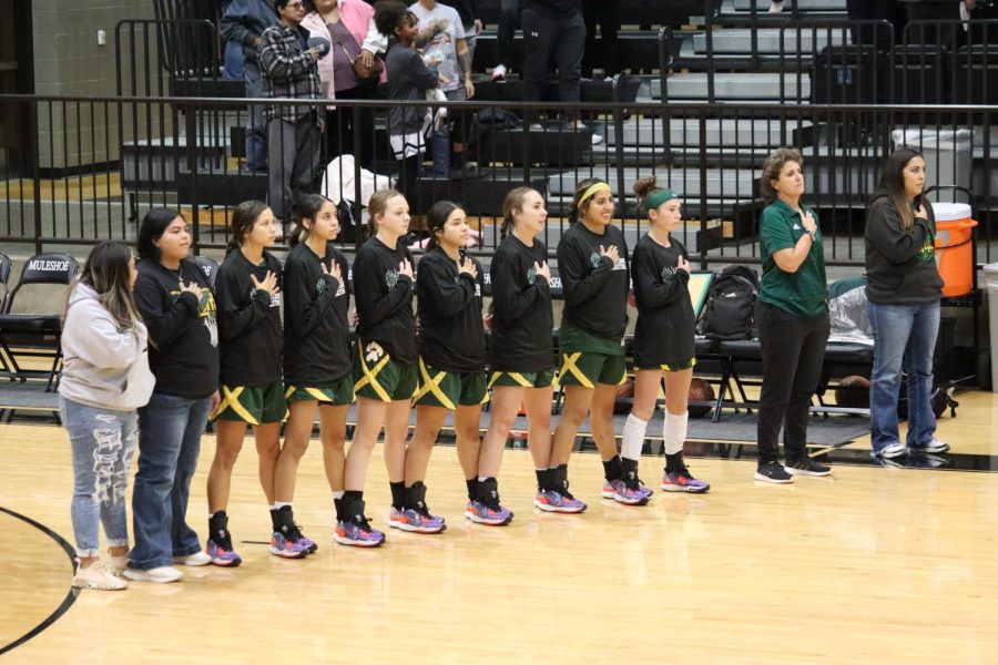 The Lady Wolverines standing for the National Anthem.