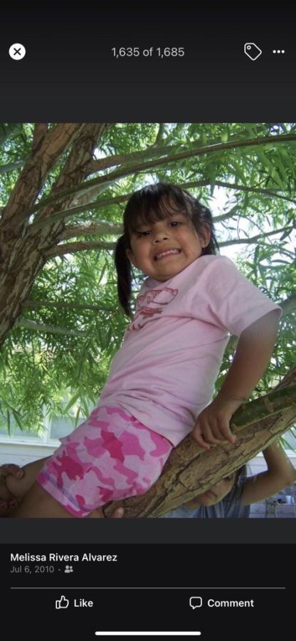 Little Hannah Alvarez climbing a tree