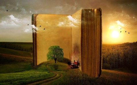Book into a new world.